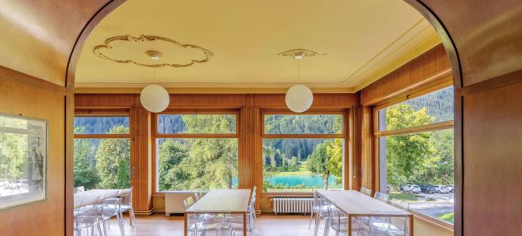 奥龙佐多洛米蒂酒店-隶属于美利亚(Hotel Auronzo Dolomites, Affiliated by Melia)图片