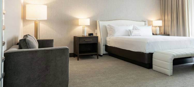 芝加哥唐人街 SpringHill Suites 酒店(SpringHill Suites Chicago Chinatown)图片