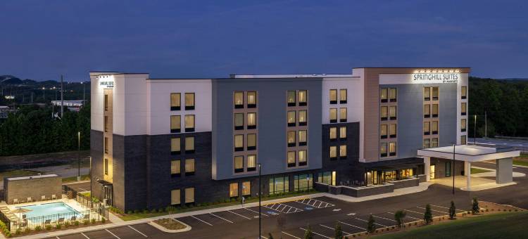 布拉塞尔顿SpringHill Suites酒店(SpringHill Suites by Marriott Braselton)图片