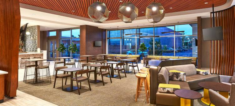 拉加尔托唐尼SpringHill Suites酒店(SpringHill Suites Los Angeles Downey)图片