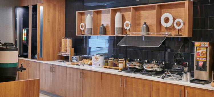 底特律迪尔伯恩SpringHill Suites酒店(SpringHill Suites Detroit Dearborn)图片