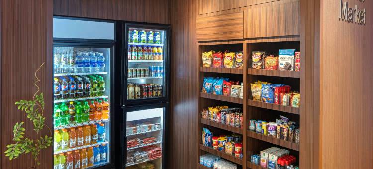 北伯根万豪万枫套房酒店(Fairfield Inn & Suites by Marriott North Bergen)图片