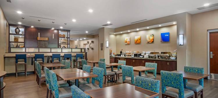 舒适套房酒店-诺曼湖亨特斯维尔(Comfort Suites Lake Norman - Huntersville)图片