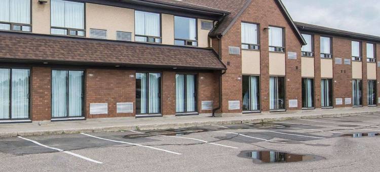 舒适酒店(Comfort Inn)图片