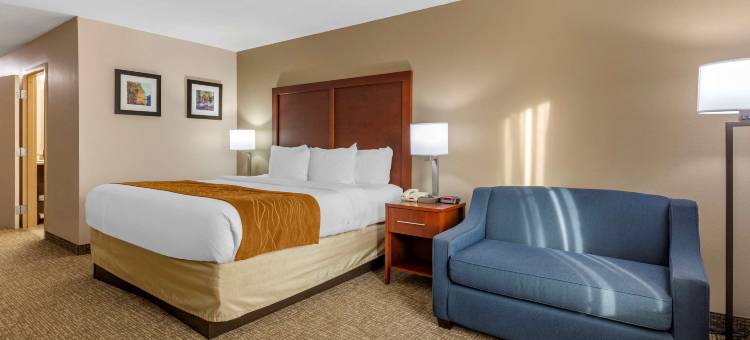 史密斯菲尔德 I-95 附近舒适酒店(Comfort Inn Smithfield Near I-95)图片