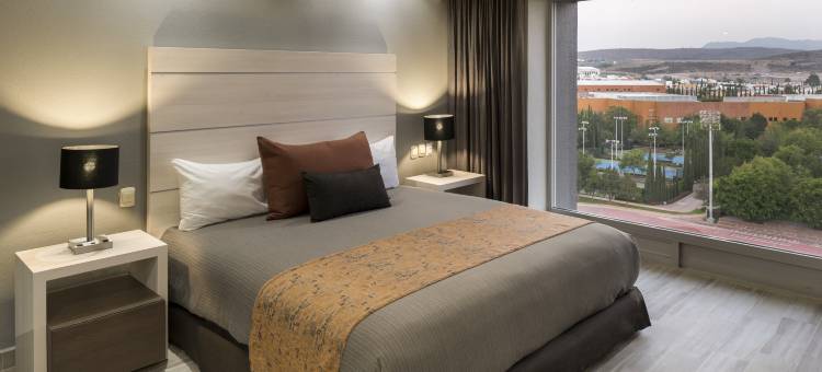 路易波托西里尔旅馆(Real Inn San Luis Potosi)图片