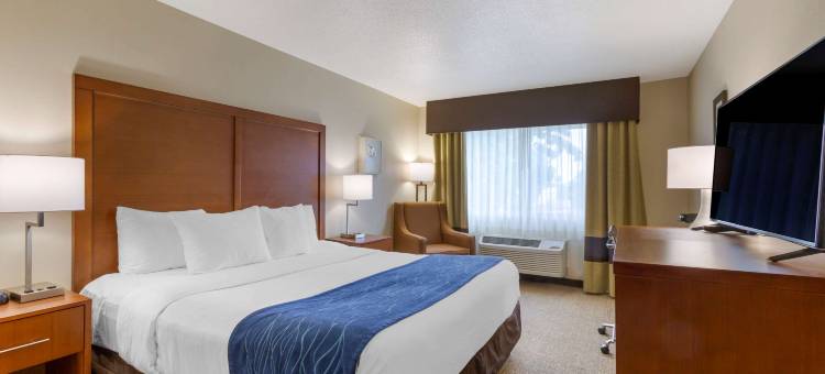 梅德福南舒适酒店(Comfort Inn Medford South)图片