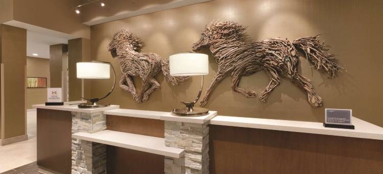 阿克伦广机场希尔顿安泊酒店(Embassy Suites by Hilton Akron Canton Airport)图片