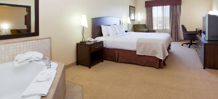 丹佛E-470/帕克尔路假日酒店(Holiday Inn Denver-Parker-E470/Parker RD)图片