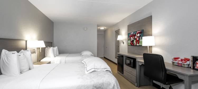 红顶PLUS酒店-波士顿曼斯费尔德福克斯波罗(Red Roof Plus+ Boston - Mansfield/ Foxboro)图片