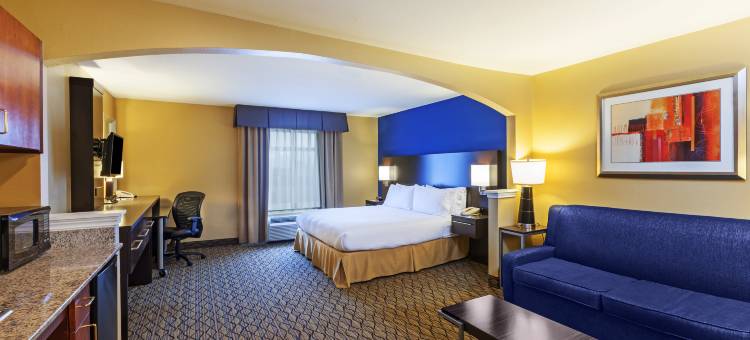 洲际酒店集团智选假日套房酒店休斯顿市中心会议中心(Holiday Inn Express & Suites Houston-Dwtn Conv Ctr)图片
