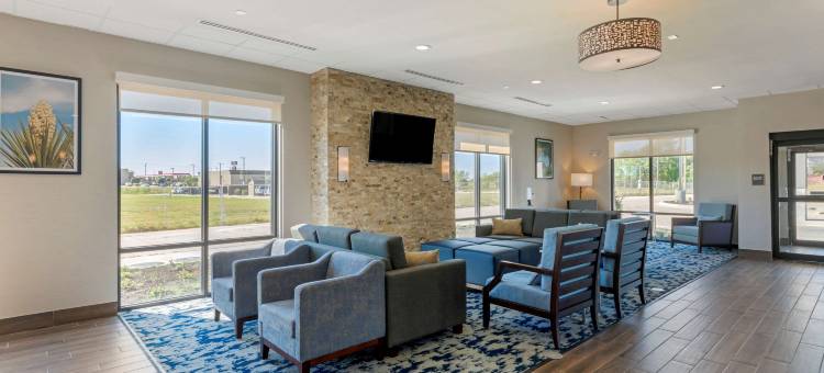 舒适酒店及套房巴尔奇斯普林斯 - 达拉斯东南(Comfort Inn & Suites Balch Springs - SE Dallas)图片