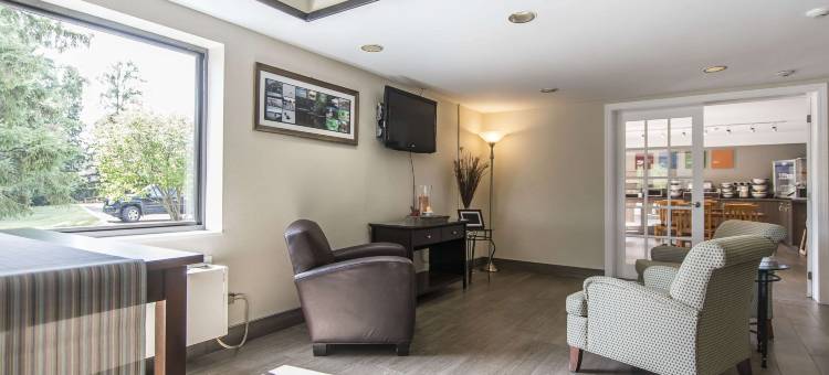 舒适酒店(Comfort Inn)图片