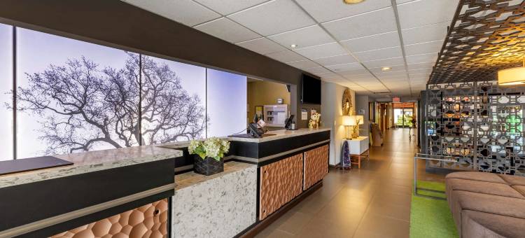 千橡市贝斯特韦斯特优质酒店(Best Western Plus Thousand Oaks Inn)图片