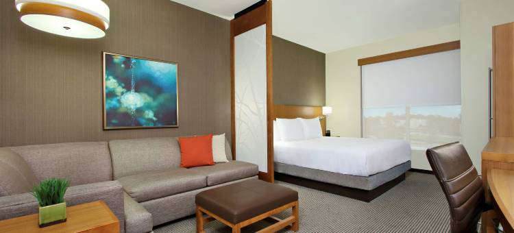 休斯顿西北复古公园凯悦嘉轩酒店(Hyatt Place Houston NW Vintage Park)图片