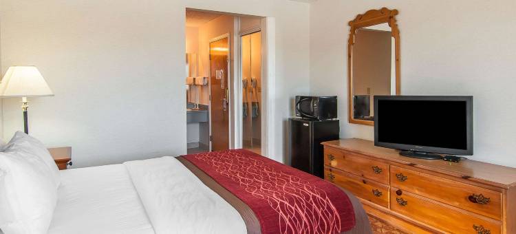 凯艺酒店(Quality Inn)图片