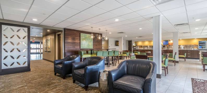 舒适套房酒店(Comfort Inn & Suites)图片