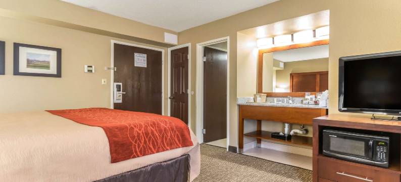 舒适套房酒店(Comfort Inn & Suites)图片