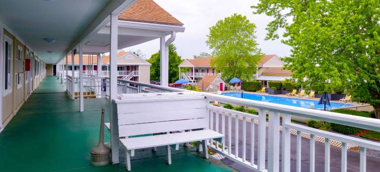 奥尔良科德角罗德威酒店(Rodeway Inn Orleans - Cape Cod)图片