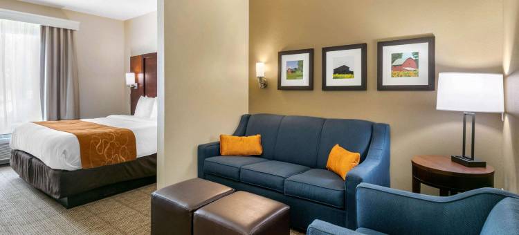 霍普金斯维尔坎贝尔堡附近舒适套房酒店(Comfort Suites Hopkinsville Near Fort Campbell)图片