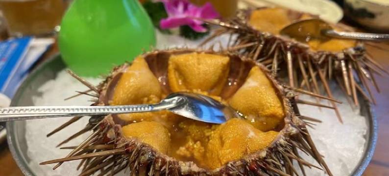 长岛旅游小石公寓(文化街分店)图片