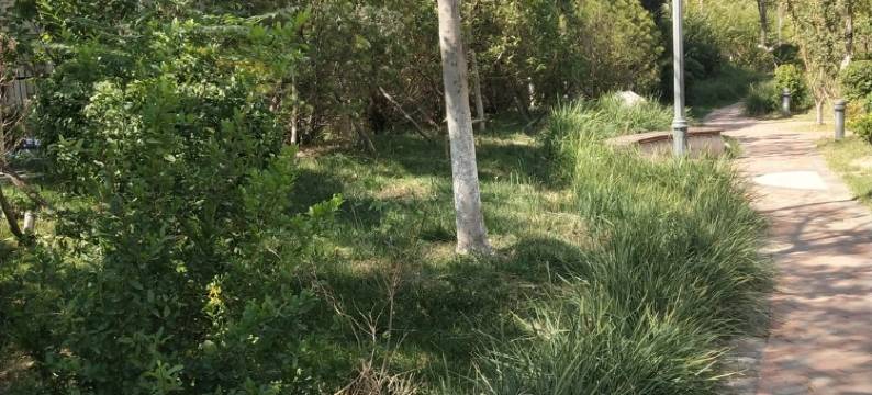 安静之家艺术之家度假别墅(天房南路分店)图片