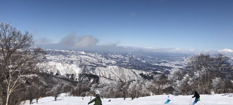 野泽地址酒店(Address Nozawa)图片