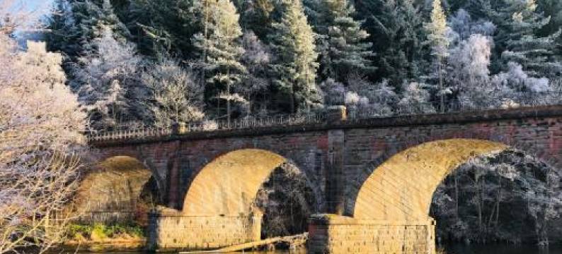 Queen Mary's Chamber图片