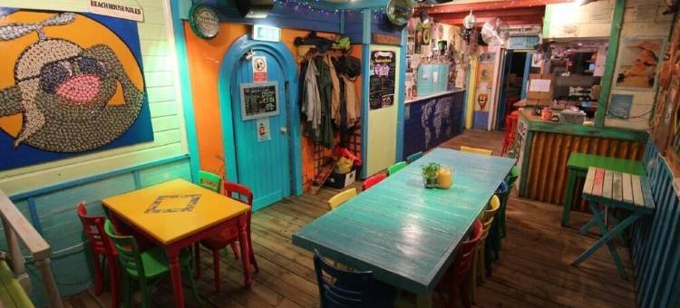 The Flying Pig Beach Hostel图片