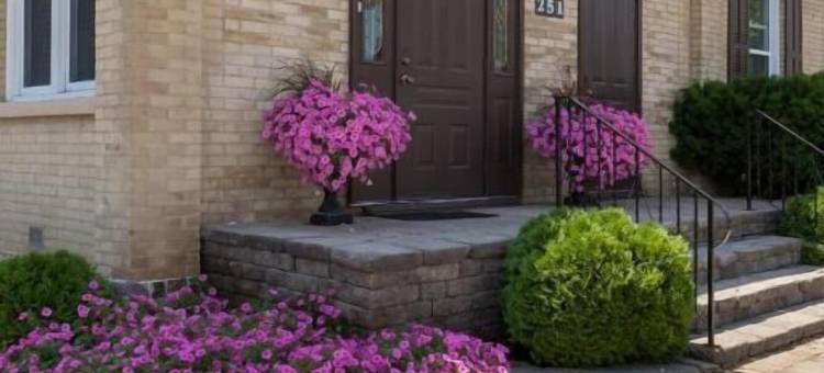 肯特旅馆(Kent Inn)图片