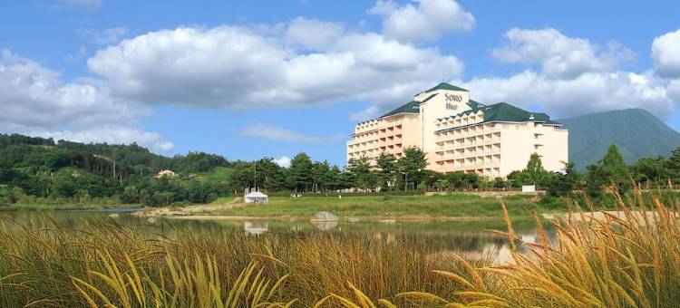 索诺BELLE 杨平郡酒店(Sono Belle Yangpyeong)图片