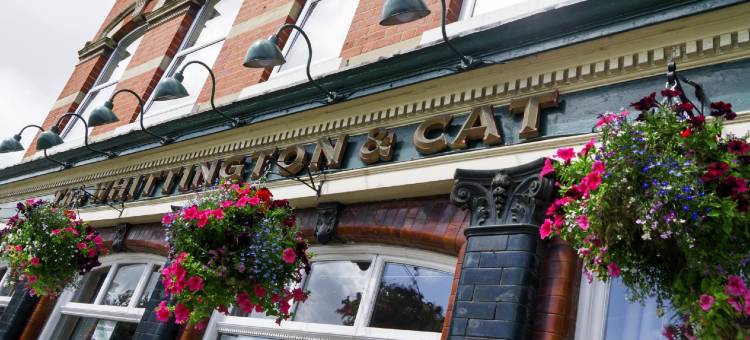 惠廷顿与猫旅馆(The Whittington and Cat)图片