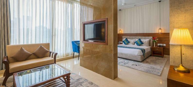 古尔冈达利瓦尔斯舒适酒店(Comfort Inn Dhaliwals Gurgaon)图片