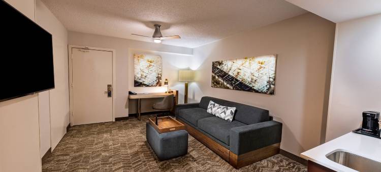 休斯顿医疗中心／nrg 公园万豪SpringHill酒店(SpringHill Suites Houston Medical Center/NRG Park)图片