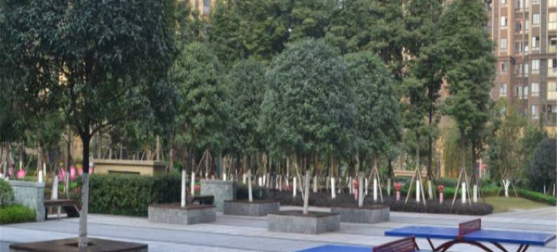 青鸟S酒店(大学城微电园店)图片