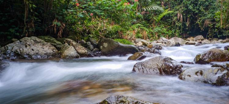 Urbanview Hotel Syariah Villa SM Cisarua Puncak by RedDoorz图片