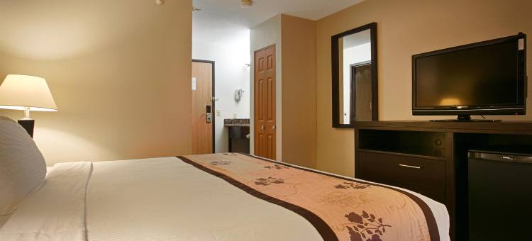 亚历山大贝斯特韦斯特酒店(Best Western Alexandria Inn)图片