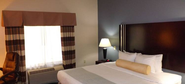 卡拉马祖贝斯特韦斯特优质套房酒店(Best Western Plus Kalamazoo Suites)图片