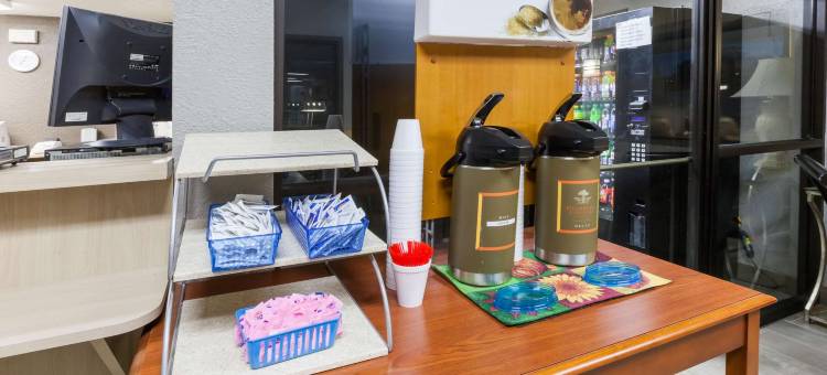 弗林特骑士酒店(Knights Inn Flint)图片