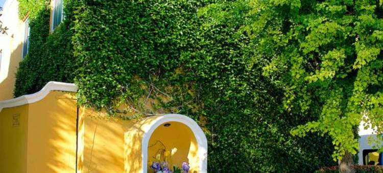 卡萨墨西哥贝斯特韦斯特酒店(Best Western Saltillo)图片