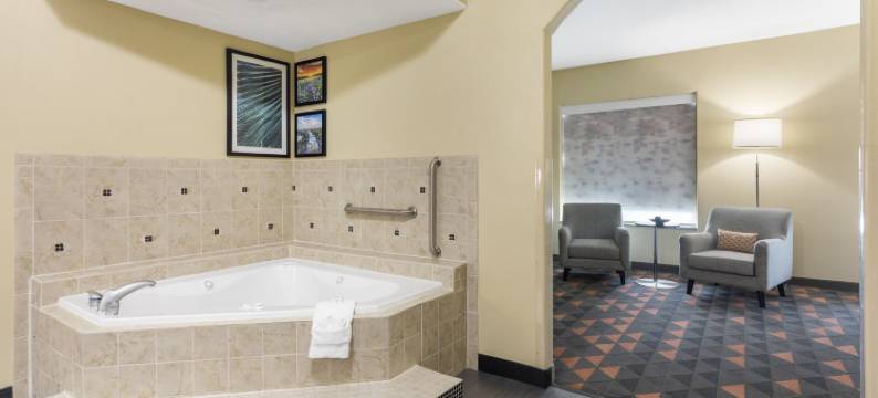 Holiday Inn & Suites 韦科西北(Holiday Inn & Suites WACO NORTHWEST by IHG)图片