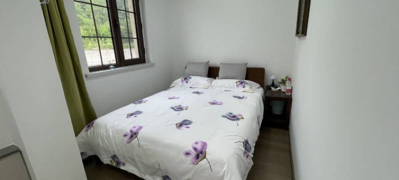 拾光管家度假别墅(武夷路分店)图片