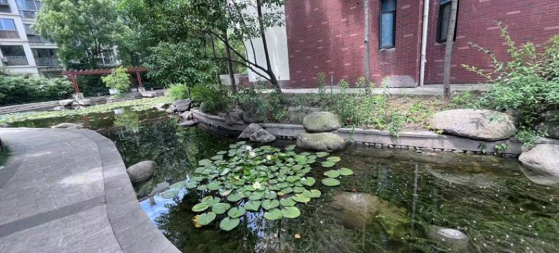 湖景山色民宿(广场四街分店)图片