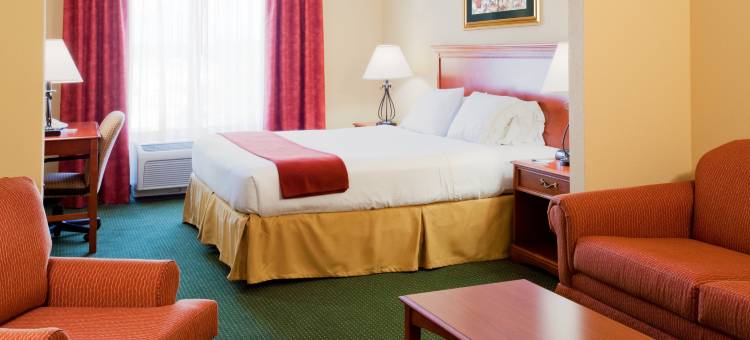 智选假日套房酒店布鲁克斯维尔西(Holiday Inn Express & Suites Brooksville West)图片