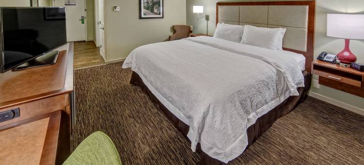 萨凡纳 - 95号州际公路 - 北欢朋酒店(Hampton Inn Savannah-I-95 North)图片