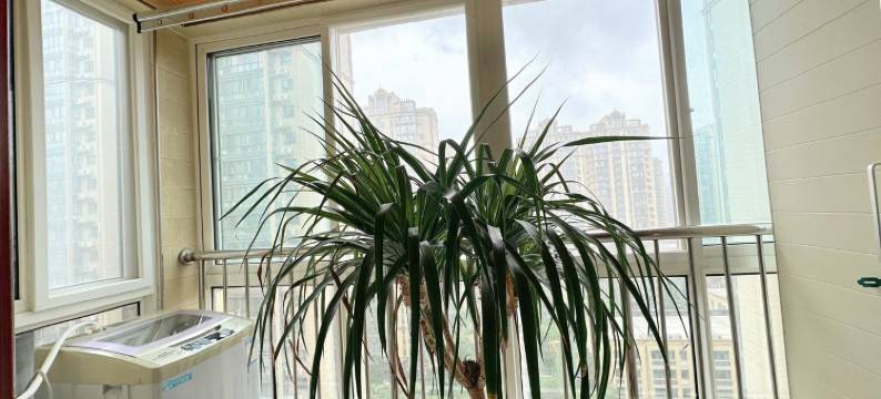 馨窝的贴心房东民宿(天坛路分店)图片