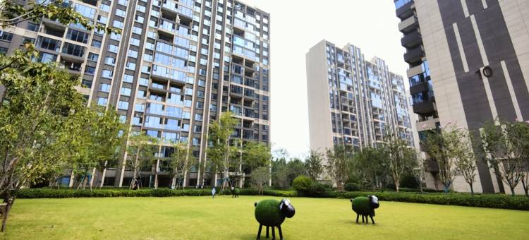 甜小姐的民宿(只有河南戏剧幻城)图片