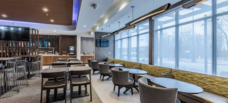 底特律斯特林海茨万豪SpringHill酒店(SpringHill Suites by Marriott Detroit Sterling Heights)图片