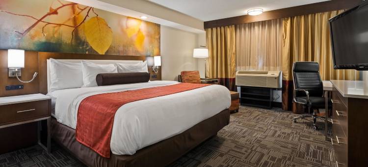 IHG假日酒店密尔沃基布鲁克菲尔德(Holiday Inn BROOKFIELD - ​​MILWAUKEE by IHG)图片