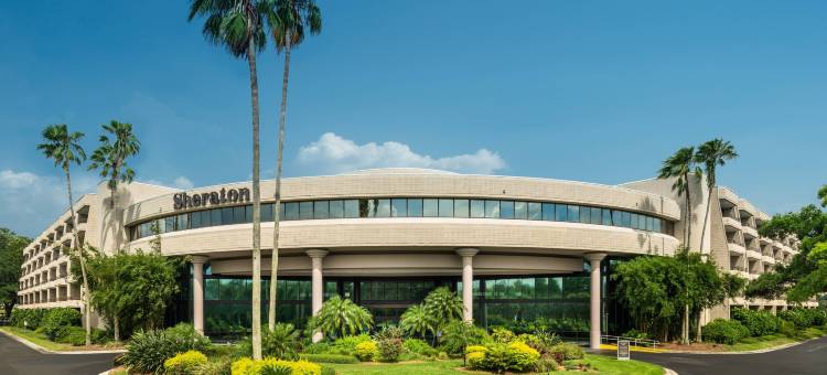 喜来登坦帕布兰登酒店(Sheraton Tampa Brandon Hotel)图片